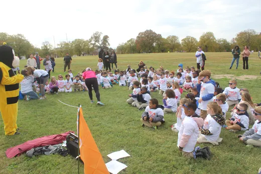 The field before the start